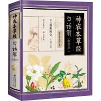 神农本草经白话解(彩图版)老中医养生堂9787533556907福建科学技术出版社