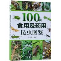 100种食用及药用昆虫图鉴车晋滇9787122327451化学工业出版社