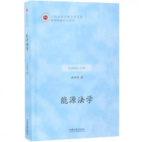 能源法学莫神星9787509353196中国法制出版社