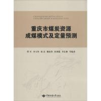 重庆市煤炭资源成煤模式及定量预测程军9787562537656中国地质大学出版社