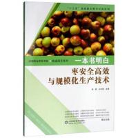 一本书明白枣安全高效与规模化生产技术张琼9787533191818山东科学技术出版社有限公司