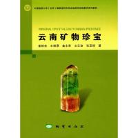 云南矿物珍宝崔银亮9787116101548中国地质大学出版社