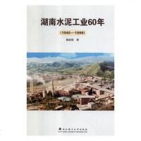 湖南水泥工业60年(1940-1999)詹健雄9787562958772武汉理工大学出版社