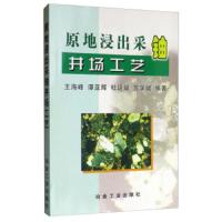 原地浸出采铀井场工艺王海峰9787502431051冶金工业出版社