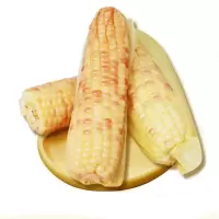 云南西双版纳香糯玉米 紫糯玉米 真空小苞米 新鲜蔬菜 1.5kg