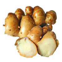 新鲜沙姜 生姜山奈子沙姜鸡白切鸡配料山辣土姜 1.5kg