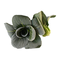 农家自种新鲜青菜 2.5kg 露天霜冻青 新鲜蔬菜