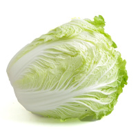 山东特产三里河大白菜 非胶州大白菜 2.5kg/颗 新鲜蔬菜 2.5kg*1颗