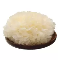 顺丰 新鲜银耳 福建古田鲜活耳雪耳 白木耳 银耳莲子粥原料 12朵 约1.8kg