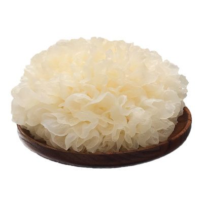 顺丰 新鲜银耳 古田鲜活耳雪耳 白木耳 银耳莲子粥原料 6朵 约900g
