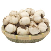 新鲜百合 生鲜蔬菜甜百合 6头 500g