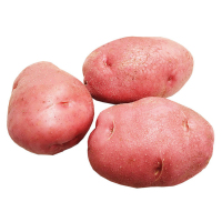 红皮土豆 黄心土豆马铃薯洋芋 生鲜蔬菜 4kg