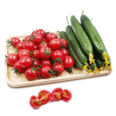 新鲜蔬菜水果 西红柿圣女果小柿子番茄+水果小黄瓜混搭 2.5kg 一箱