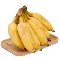 新鲜香蕉 小米蕉皇帝蕉粉蕉 2.5kg