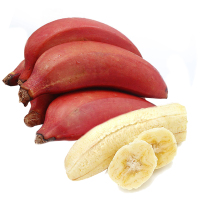 福建红皮香蕉红香蕉 2.5kg 土楼特产美人蕉 新鲜水果