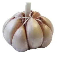 紫皮干大蒜头 精选6cm大蒜 农家肥种植 2.5kg