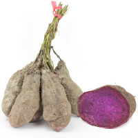 新鲜紫山药 大薯脚板薯 毛薯 紫玉淮山药 生鲜蔬菜 2.5kg