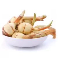 湖北白茨菇 小慈菇茨菰燕尾草鲜 新鲜蔬菜 2.5kg