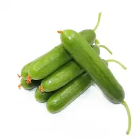 荷兰小黄瓜新鲜水果黄瓜嫩甜脆青瓜 无刺小黄瓜2.5kg新鲜蔬菜