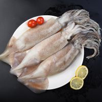 【鲜鱿鱼】整只 大鱿鱼 冷冻 冰鲜 海产鱿鱼 烧烤 海鲜水产类 新鲜 软足食材 年货节 新鲜鱿鱼 约3斤装