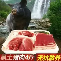 农家黑猪肉新鲜猪肉五花肉瘦肉现杀土猪肉猪腿肉散养沂蒙山黑猪肉 3斤后腿肉