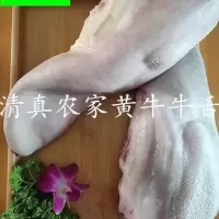 清真 新鲜牛舌头 新鲜小黄牛现取牛舌 新鲜食材 牛舌[2斤装]