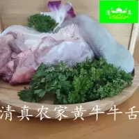 清真 新鲜牛舌头 新鲜小黄牛现取牛舌 新鲜食材 牛舌/3斤装