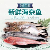 杂鱼去鳞去内脏海杂鱼新鲜速冻海鱼鲳鱼带鱼石斑鱼深海鱼1.5斤/包 1.5斤品鲜装