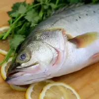 鲜活鲈鱼 深海鱼 新鲜水产海鲜七星海鲈鱼 [2斤]品尝装