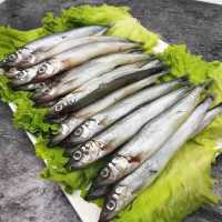 多春鱼满籽海鲜鱼籽鲜活冷冻特大多春鱼新鲜多籽鱼海鲜 两斤装