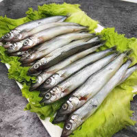 多春鱼满籽海鲜鱼籽鲜活冷冻特大多春鱼新鲜多籽鱼海鲜 四斤装