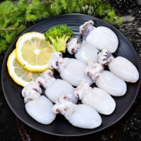 2斤4斤新鲜小墨鱼仔鲜活海鲜鲜冻目鱼仔小八爪鱼乌贼墨斗鱼 3斤[两天内捕捞 去皮去内脏]