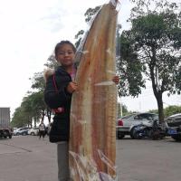 特大新鲜鳗鱼干5成干渔民自制咸鱼干海鳗鱼干海鲜干货 2500克透明直板