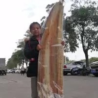 特大新鲜鳗鱼干5成干渔民自制咸鱼干海鳗鱼干海鲜干货 2500克透明直板