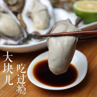 ]现捞鲜活生蚝新鲜乳山牡蛎带壳大海蛎子海鲜水产贝类 店长推荐]特大号3斤装(15只左右)
