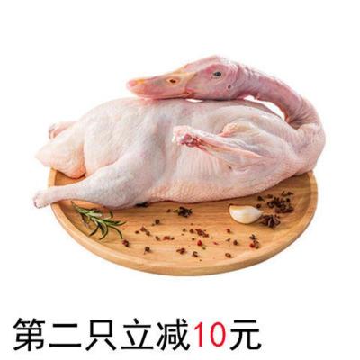 鸭子一只两斤以上生鲜鸭肉整只鸭肉新鲜鸭子老鸭麻鸭批发零售 鲜鸭两只装(每只2-2.5斤左右)