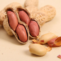 农家炒红皮花生 手工精选带壳原味香酥脆 批发 农家炒花生1.8斤(精选香脆)