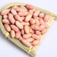 新货花生米批发农家自种 花生米粉皮花生四粒红花生米 3斤粉皮花生
