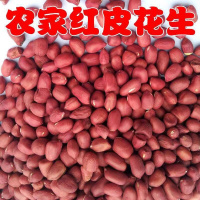 新货花生米批发农家自种 花生米粉皮花生四粒红花生米 5斤四粒红