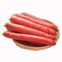 红萝卜新鲜蔬菜胡萝卜水果带泥沙农家自产生吃红心萝卜 带箱10斤精品中果