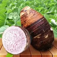 芋头新鲜批发农家新鲜蔬菜现挖现发槟榔紫藤香芋头 3斤大芋头[2-3个装]