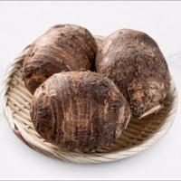 芋头新鲜批发农家新鲜蔬菜现挖现发槟榔紫藤香芋头 5斤小芋头[8-11个]货少抢到赚到