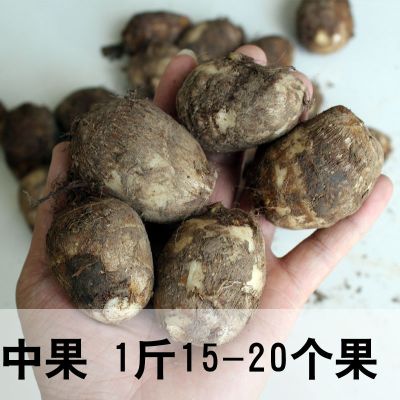 芋头山东新鲜毛芋头小芋头农家蔬菜毛芋艿滑糯香新鲜芋头 5斤中果(性价比高)