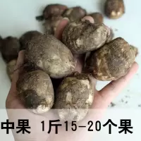 芋头山东新鲜毛芋头小芋头农家蔬菜毛芋艿滑糯香新鲜芋头 2斤中果(尝鲜试吃)