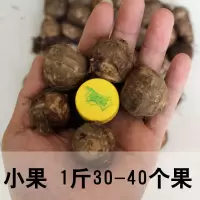芋头山东新鲜毛芋头小芋头农家蔬菜毛芋艿滑糯香新鲜芋头 2斤小果(尝鲜试吃)