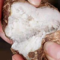 新芋头新鲜农家小毛芋头 香芋艿芋头新鲜蔬菜粉糯 中大果10斤装