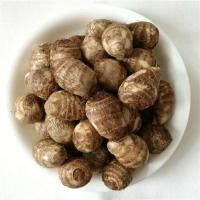 新芋头新鲜农家小毛芋头 香芋艿芋头新鲜蔬菜粉糯 中小果5斤装