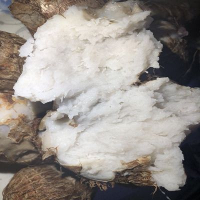 新芋头新鲜农家小毛芋头 香芋艿芋头新鲜蔬菜粉糯 试吃2斤少量装