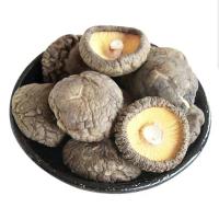 香菇干货干香菇新货蘑菇冬菇无根特产山货散装 精选出口级香菇250g
