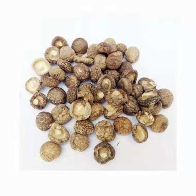 香菇干货干香菇新货蘑菇冬菇无根特产山货散装 精选小香菇500g